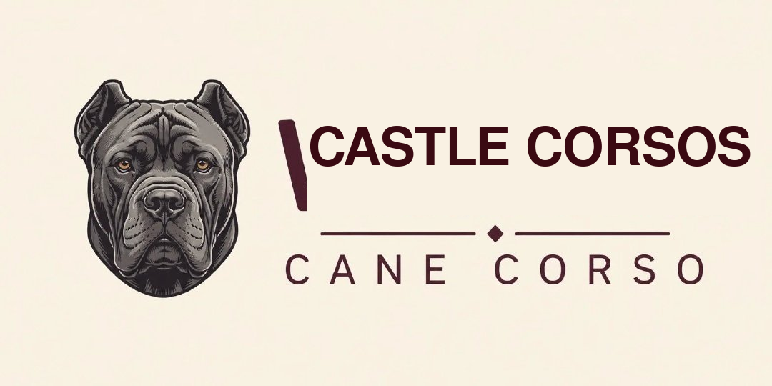 Castle Corsos